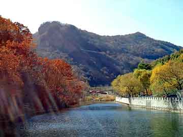 新澳门二四六天天开奖，孩子厌学